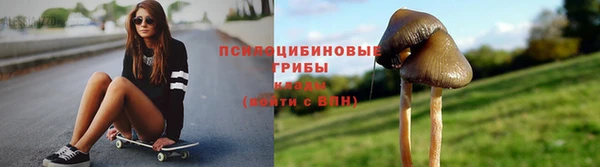 СК Беломорск