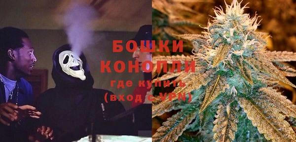 сатива Белоозёрский