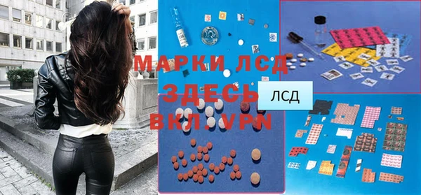 Альфа ПВП Белокуриха
