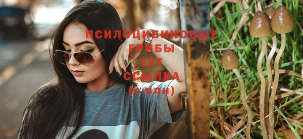 сатива Белоозёрский