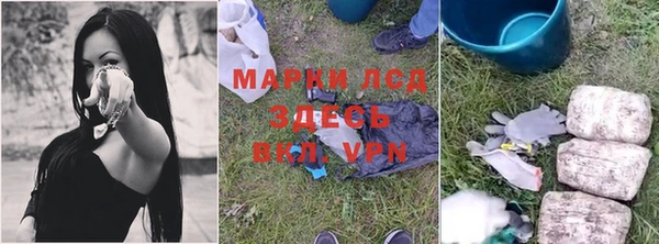 сатива Белоозёрский