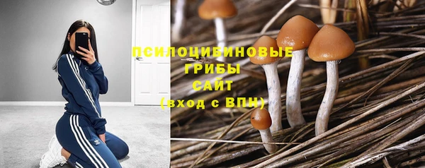 хмурый Сатка