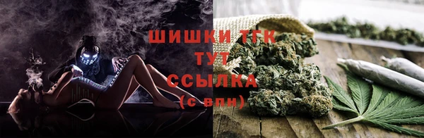 сатива Белоозёрский
