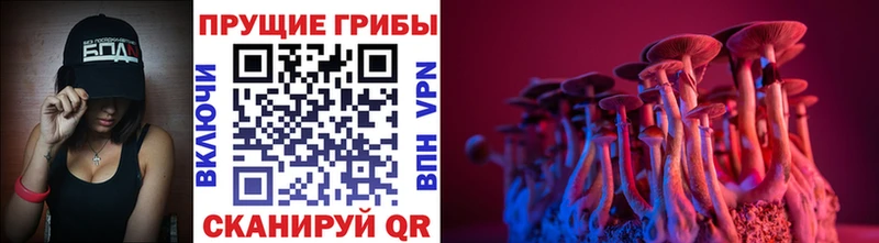 Псилоцибиновые грибы MAGIC MUSHROOMS  Губкинский 