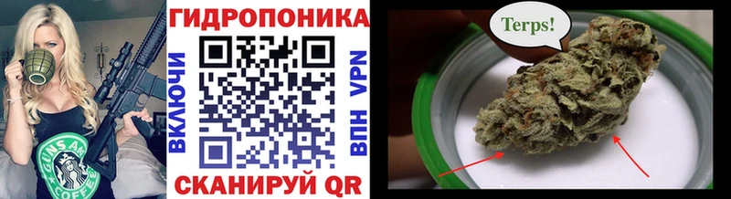 купить  цена  Губкинский  Конопля Ganja 